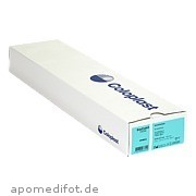 EasiCath Einmalkatheter Nelaton Männer Ch 12 5352 Coloplast GmbH