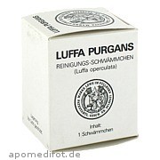 LUFFA PURGANS Apotheke Leutenberg