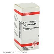 Bild für Bild für PARIS QUADRIFOL D 6 - 80&nbsp;Stück von DHU-Arzneimittel GmbH & Co. KG