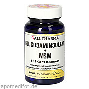 Bild für Bild für Glucosaminsulfat + MSM 1:1 Kapseln - 60&nbsp;Stück von Hecht-Pharma GmbH