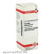 Ceanothus Americanus D 2 Dhu - Arzneimittel GmbH & Co.  Kg