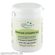 Pangam Vitamin B15 Vegi Kapseln G & M Naturwaren Import GmbH & Co.  Kg