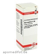 Bild für Bild für APIS MELLIFICA C30 - 20&nbsp;Milliliter von DHU-Arzneimittel GmbH & Co. KG