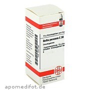 Bild für Bild für BELLIS PERENNIS C30 - 10&nbsp;Gramm von DHU-Arzneimittel GmbH & Co. KG