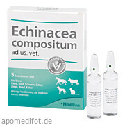 Bild für ECHINACEA COMP AD US VET - 5 Stück von Biologische Heilmittel Heel GmbH Bild für Bild für ECHINACEA COMP AD US VET - 5 Stück von Biologische Heilmittel Heel GmbH