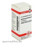 Acidum Picrinic D 6 Dhu - Arzneimittel GmbH & Co.  Kg