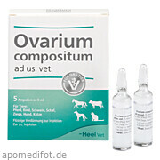Bild für OVARIUM COMPOSIT AD US VET - 5X5 Milliliter von Biologische Heilmittel Heel GmbH Bild für Bild für OVARIUM COMPOSIT AD US VET - 5X5 Milliliter von Biologische Heilmittel Heel GmbH