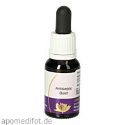 Antiseptic Bush Australische Living Essenz Leitner Lifecare GmbH