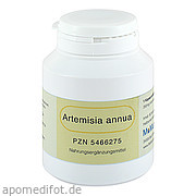 Artemisia annua MoMundo GmbH