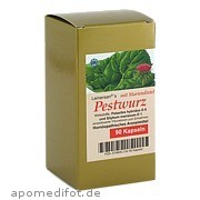 Bild für Bild für Pestwurz mit Mariendistel - 90&nbsp;Stück von Diamant Natuur B.V.