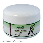 GINA SU GELENKPFLEGE GEL ApoFit Arzneimittelvertrieb GmbH