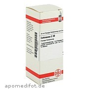 Bild für Echinacea (HAB) C30 - 20 Milliliter von DHU-Arzneimittel GmbH & Co. KG Bild für Bild für Echinacea (HAB) C30 - 20 Milliliter von DHU-Arzneimittel GmbH & Co. KG