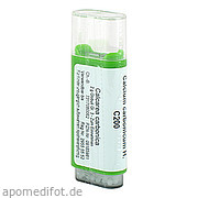 Calcium carbonicum H.  C200 Spagyros GmbH