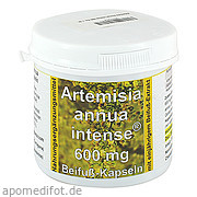 Artemisia Annua Intense600 Novo Form GmbH
