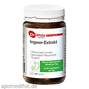 Ingwer - Extrakt Dr. Wolz Dr.  Wolz Zell GmbH